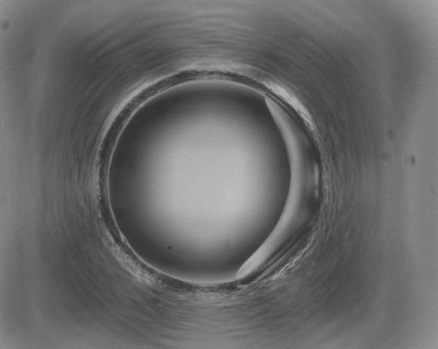 X0000084520976200702231130