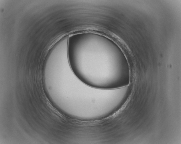 X0000084520977200702231130