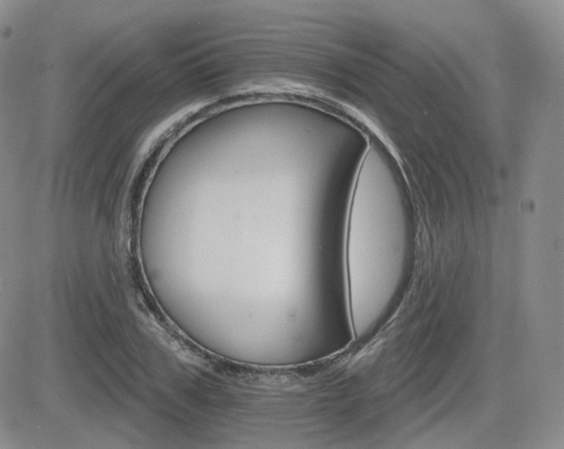 X0000084520979200702231130