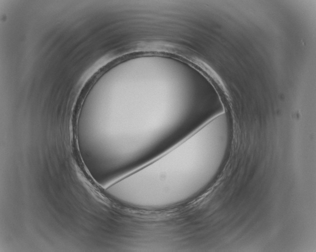 X0000084520980200702231130