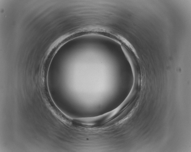 X0000084520981200702231130