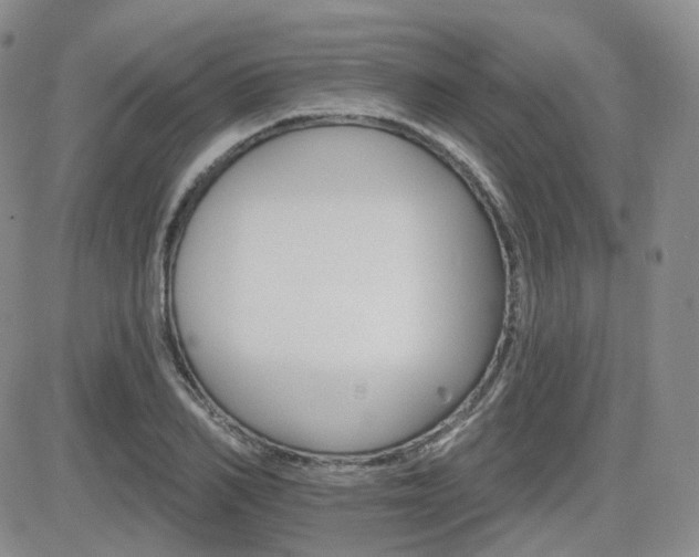 X0000084520982200702231130