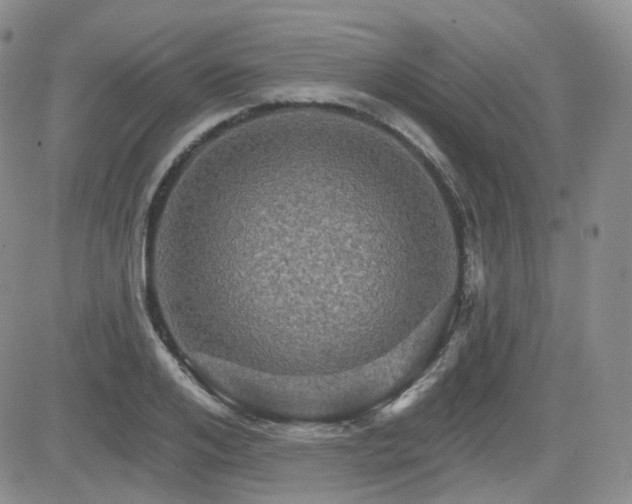 X0000084520984200702231130