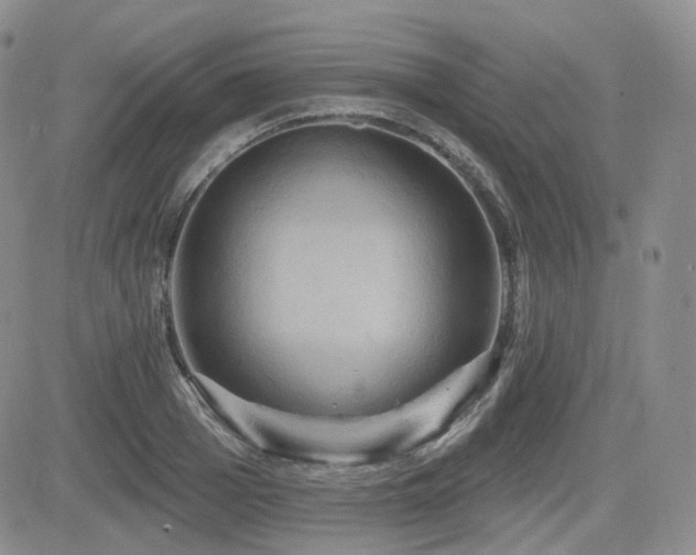 X0000084520985200702231130