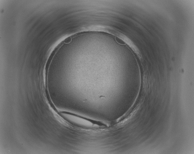 X0000084520988200702231130