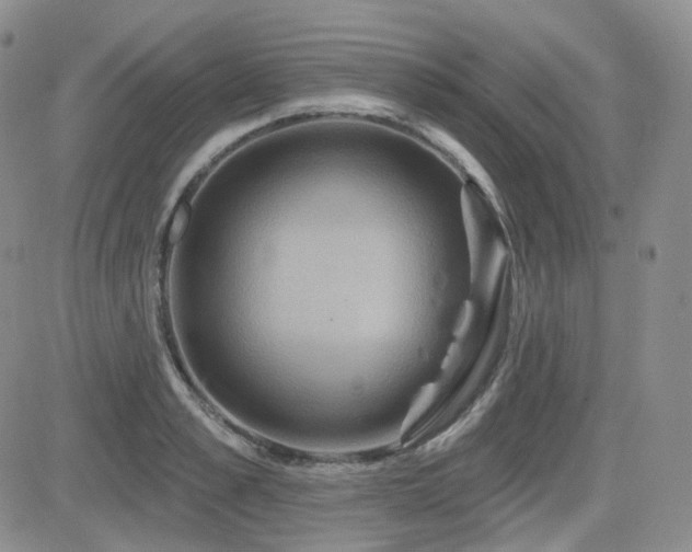 X0000084520989200702231130