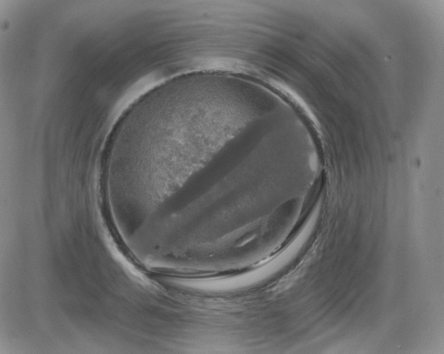 X0000084520991200702231130