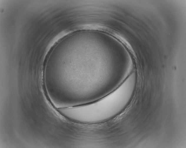 X0000084520992200702231130