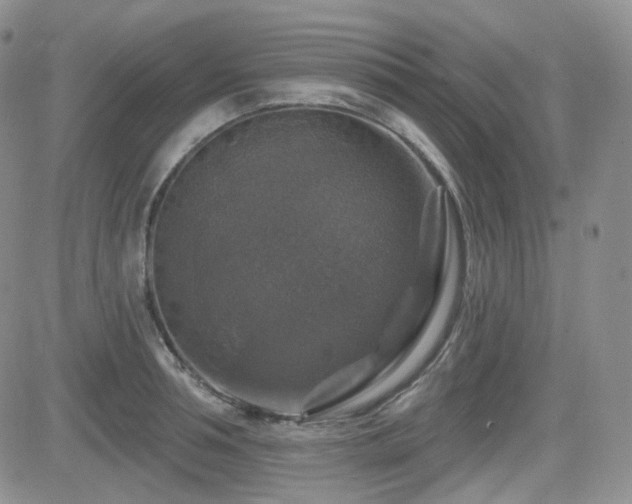 X0000084520994200702231130