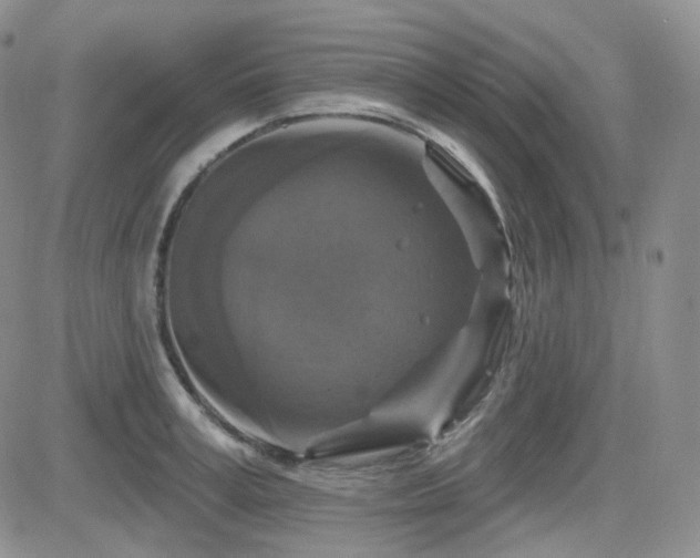 X0000084520995200702231130