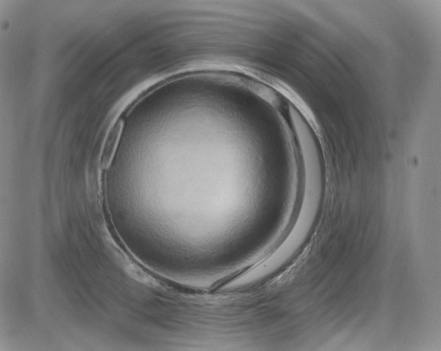 X0000084520996200702231130