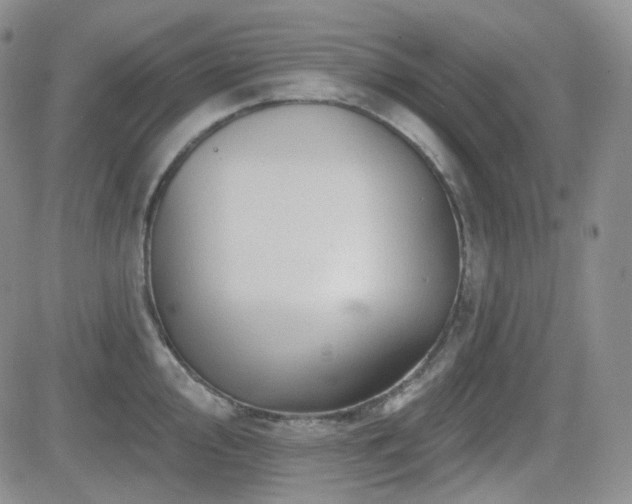 X0000084521000200702231130