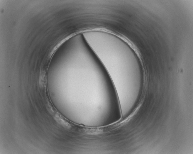 X0000084521001200702231130