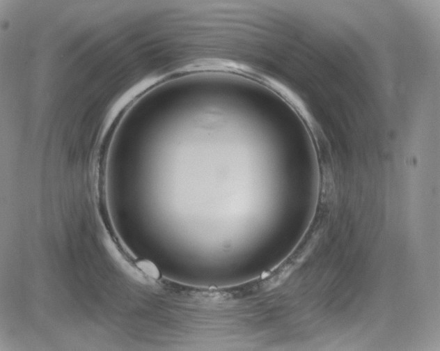 X0000084521003200702231130