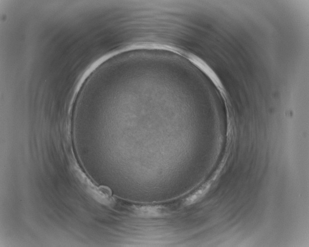 X0000084521004200702231130