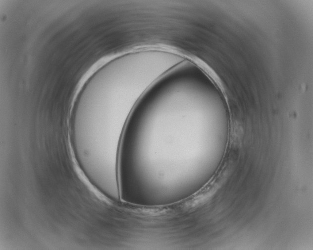 X0000084521005200702231130