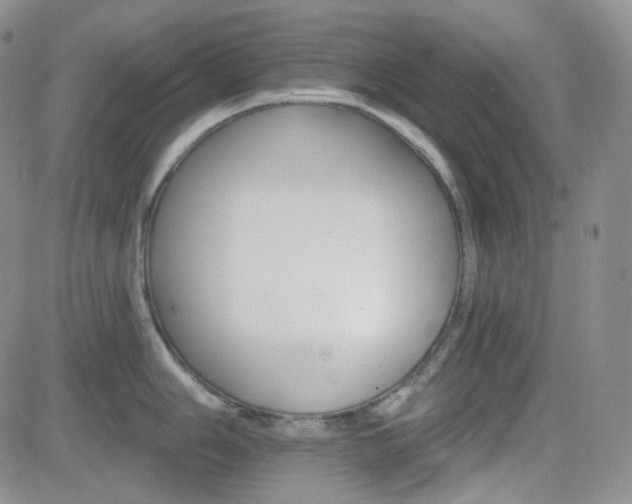 X0000084521006200702231130