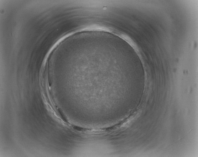 X0000084521008200702231130