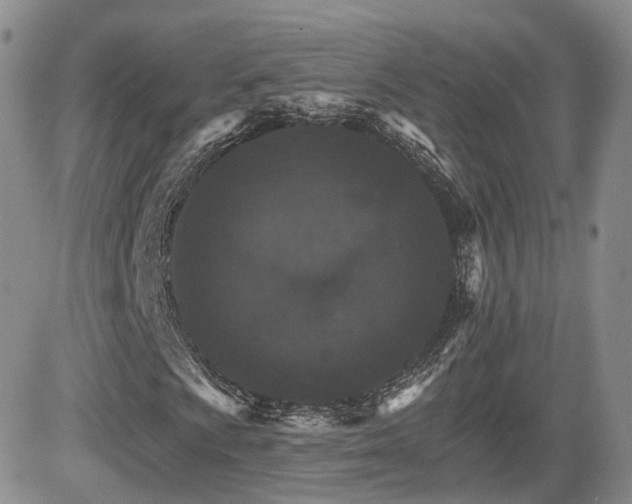 X0000084521009200702231129