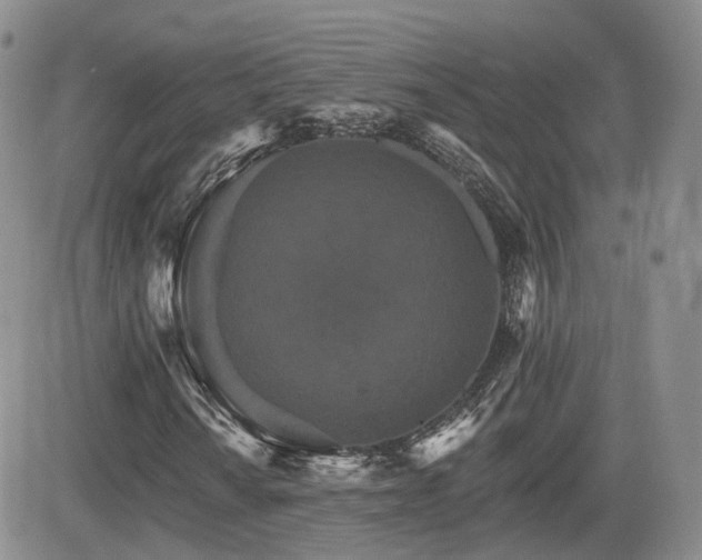 X0000084521010200702231129