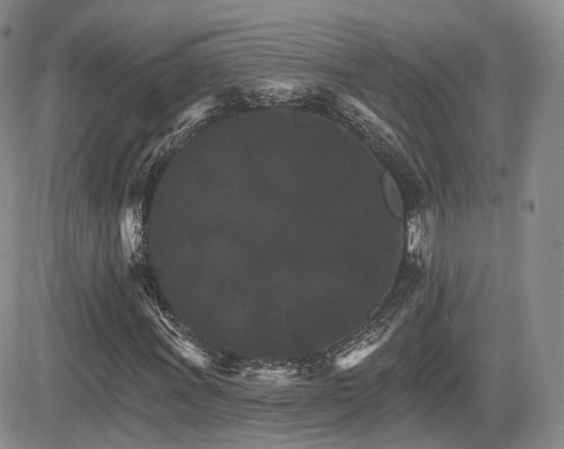 X0000084521011200702231129