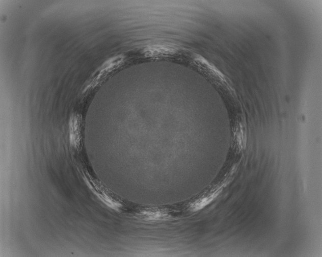 X0000084521012200702231129