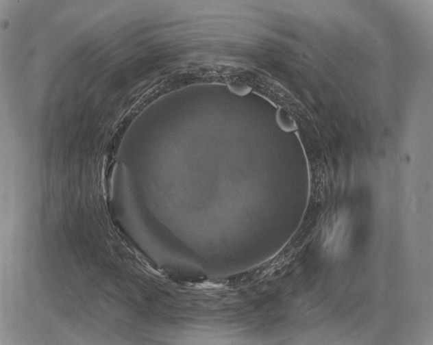 X0000084521013200702231129