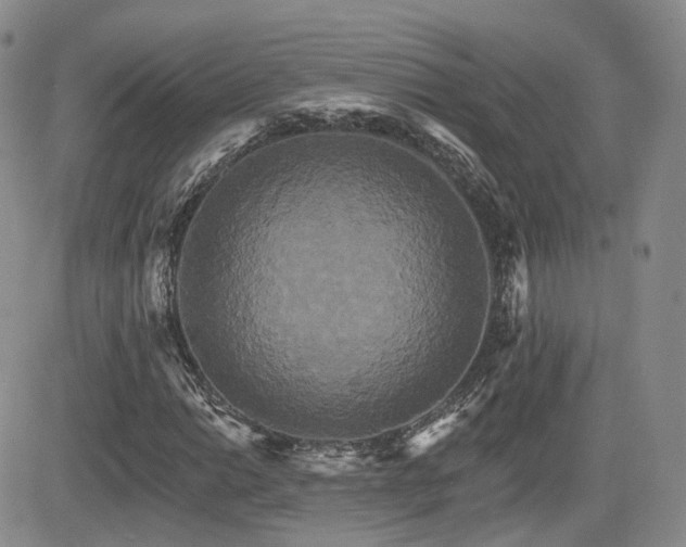 X0000084521014200702231129