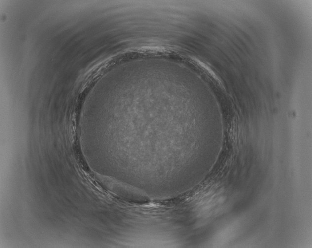 X0000084521015200702231129