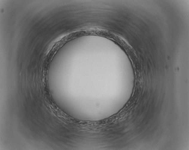 X0000084521016200702231129