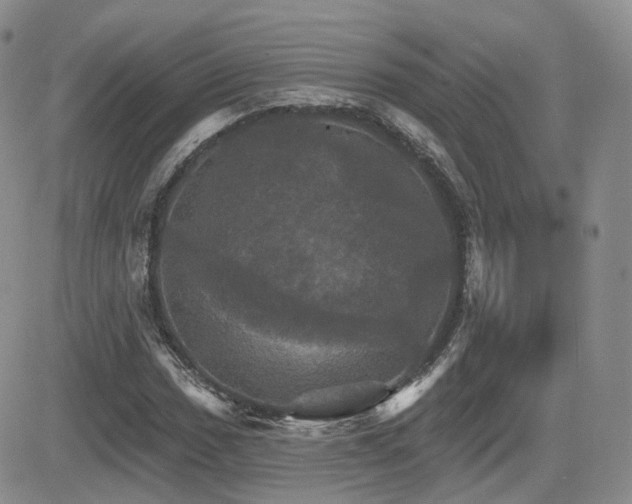 X0000084521017200702231129