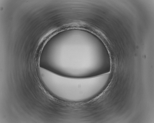 X0000084521018200702231129