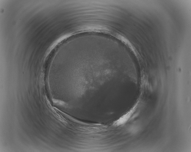 X0000084521019200702231129