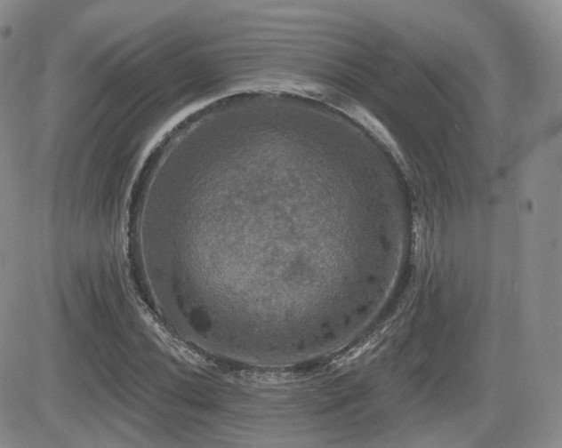 X0000084521020200702231129