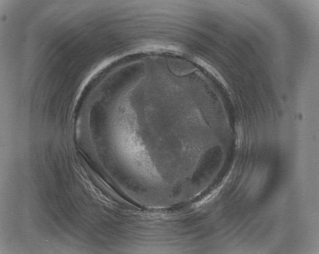 X0000084521021200702231129