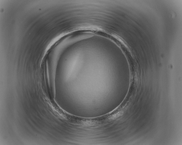 X0000084521022200702231129