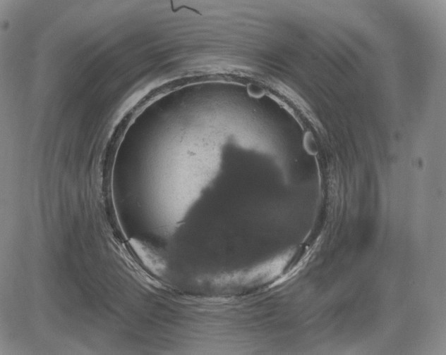 X0000084521023200702231129