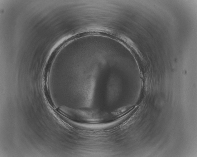 X0000084521024200702231129