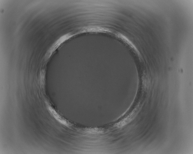 X0000084521025200702231129