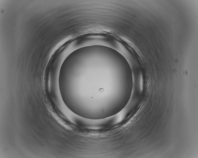 X0000084521026200702231129