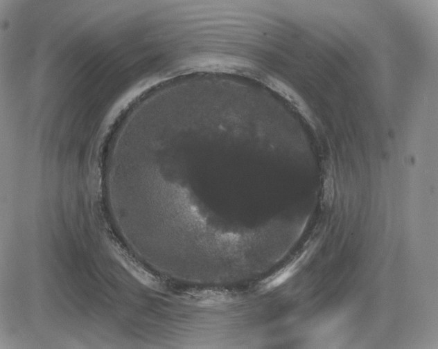 X0000084521027200702231129