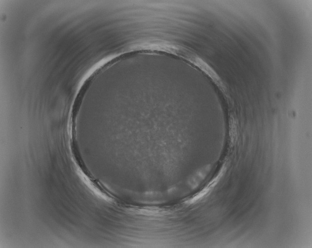 X0000084521028200702231129