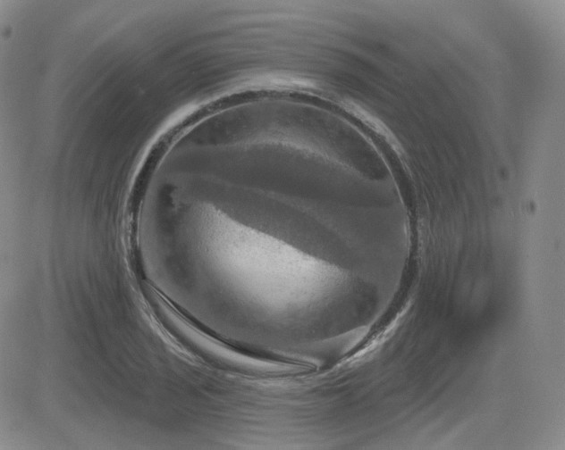 X0000084521029200702231129