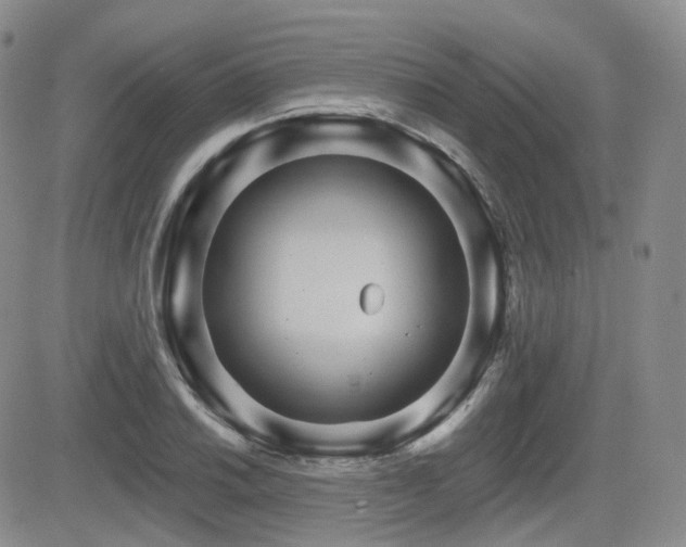 X0000084521030200702231129