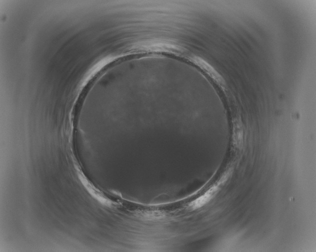 X0000084521031200702231129