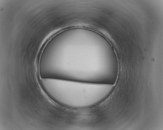 X0000084521032200702231129