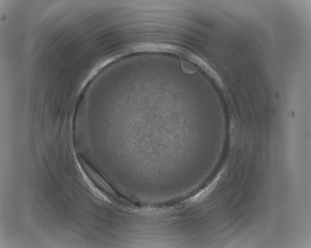 X0000084521033200702231129