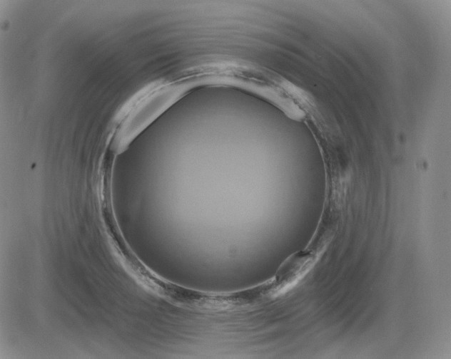 X0000084521034200702231129