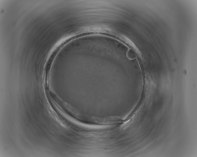 X0000084521035200702231129