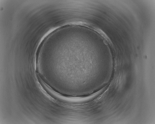 X0000084521036200702231129